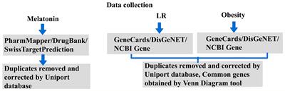 Therapeutic Target Analysis and Molecular Mechanism of Melatonin - Treated Leptin Resistance Induced Obesity: A Systematic Study of Network Pharmacology